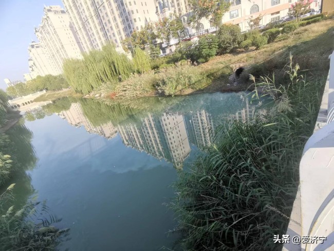 天天3·15丨济宁瑞马商业街景观河污水臭气熏天，执法人员暂未找到污染源头