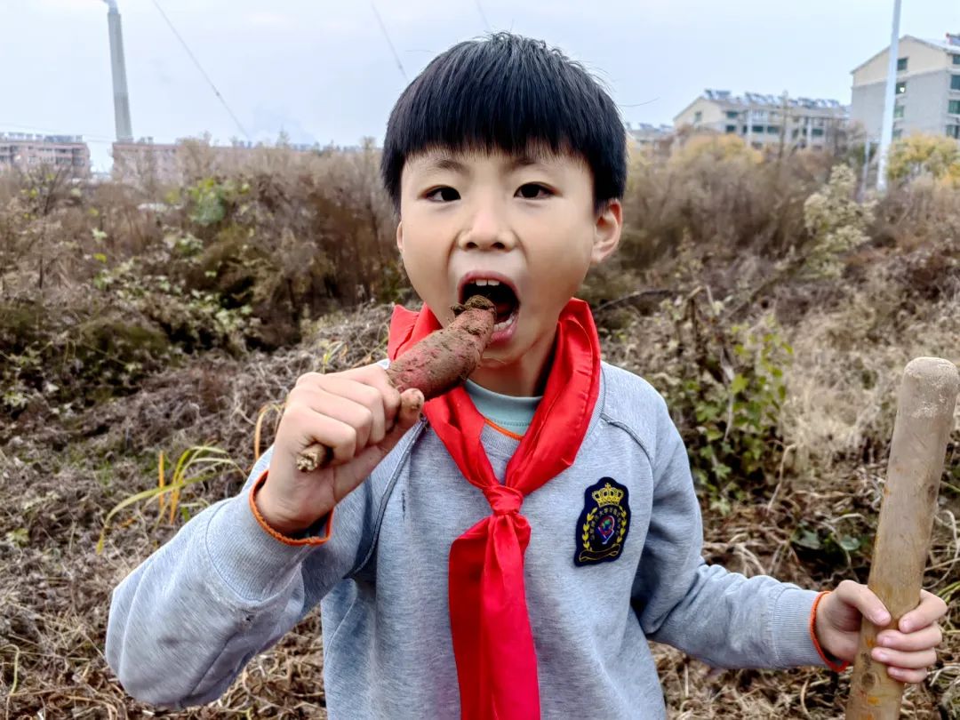 私立济南齐鲁学校四（6）中队走进田间地头，体会收获的快乐