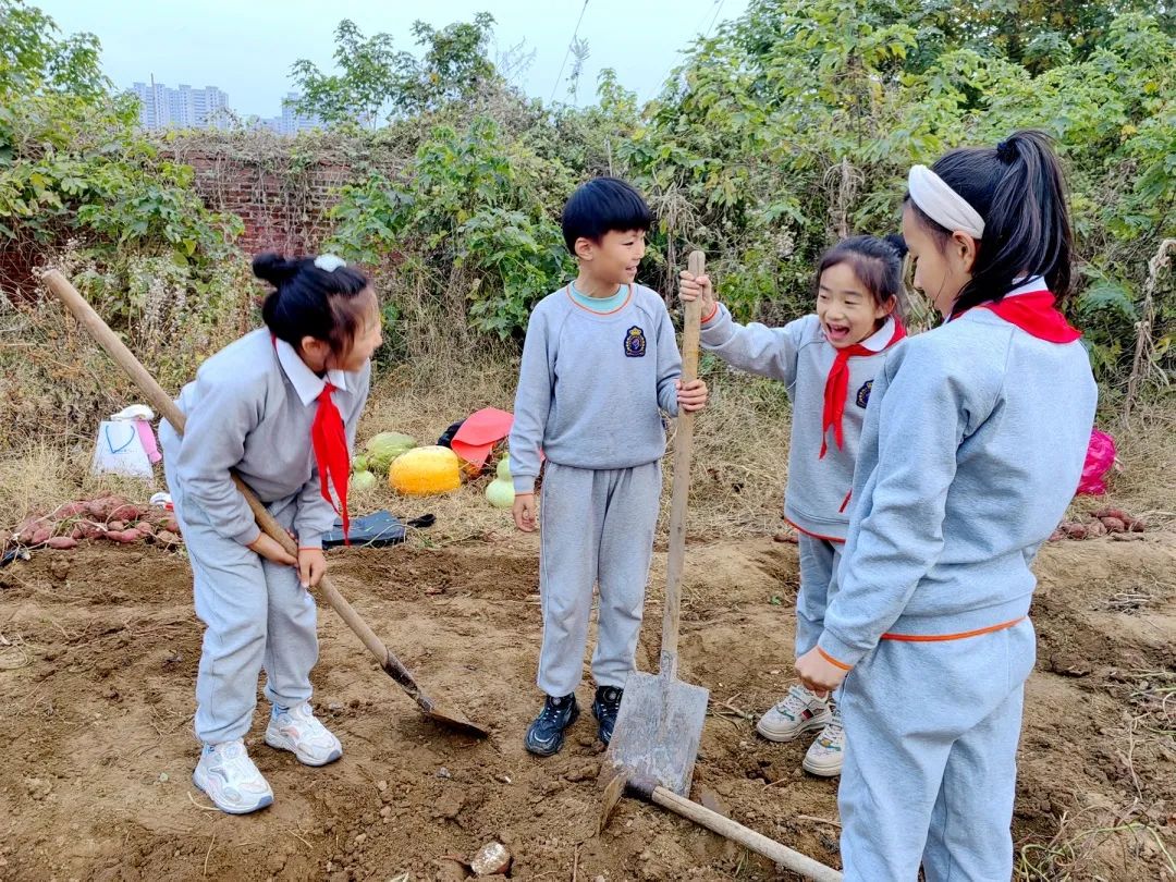 私立济南齐鲁学校四（6）中队走进田间地头，体会收获的快乐