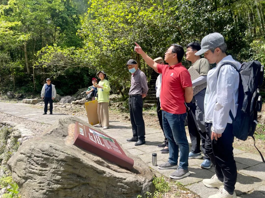 雁荡山花幽自芳——青年画家马卫巍大写意花鸟的美学探索