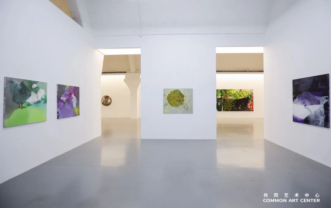 纯粹与细腻——“康蕾个展：选择的选择”在北京共同艺术中心展出