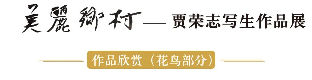 “美丽乡村——贾荣志写生作品展”将于11月12日在济南开幕