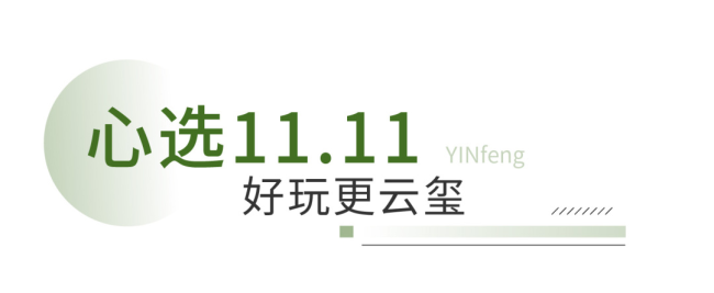 万斤蜜瓜大派送，银丰云玺双11让济南“瓜”目相看