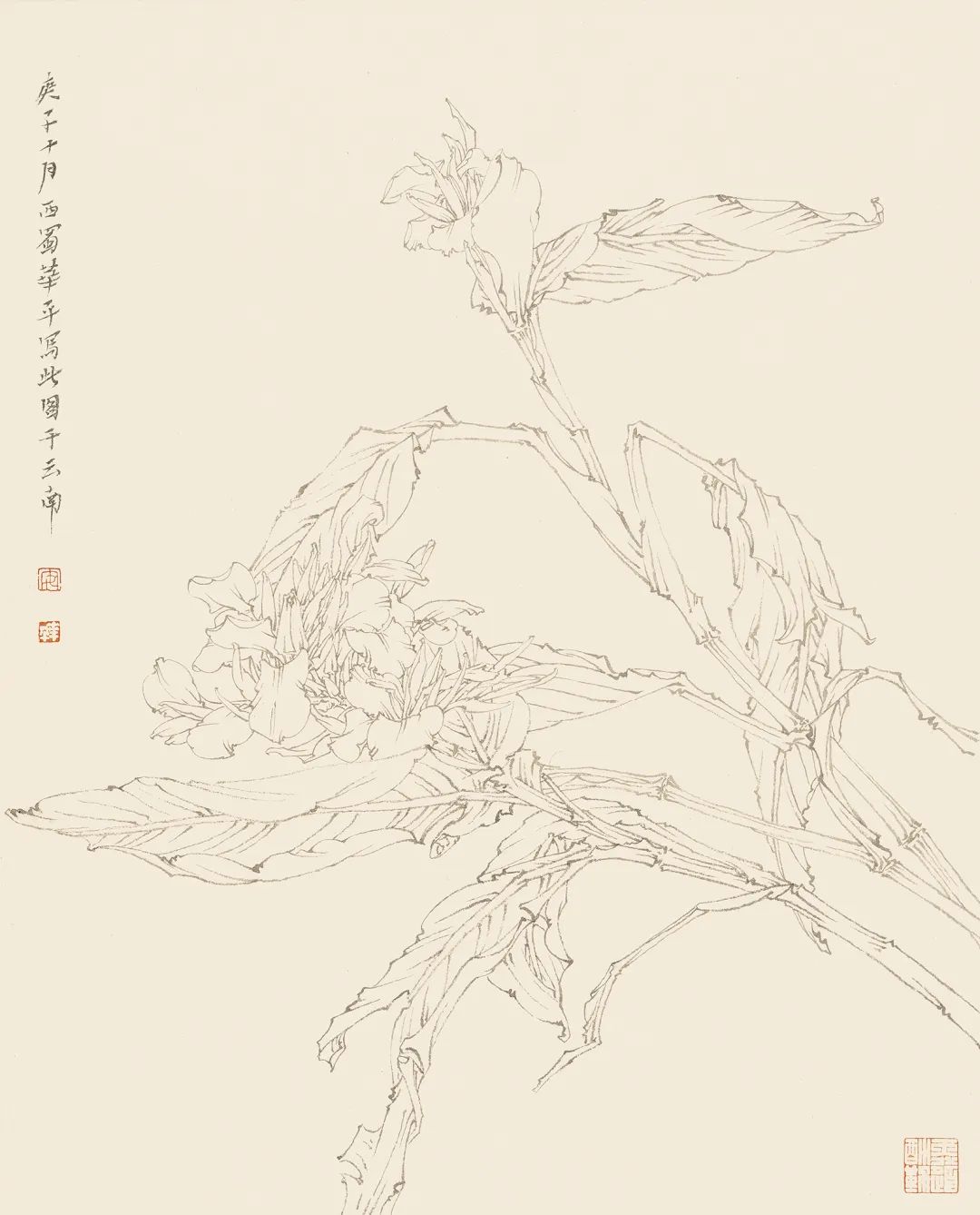 华丽中透出平和之美——著名画家安华平工笔花鸟画中的灵魂视像