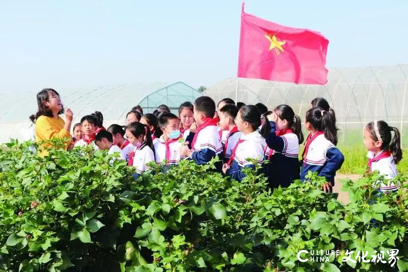 办百姓家门口的好学校——山东师大基础教育集团与德州天衢新区多所小学合作，促进教育均衡发展