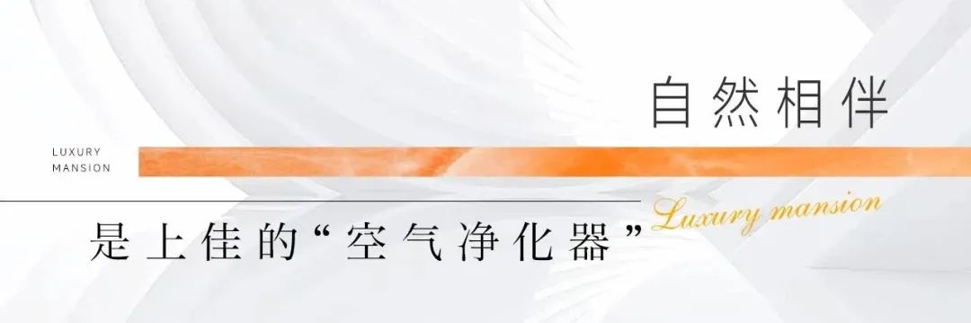 济南奥体·铂悦府打造智慧社区10大健康标准，全维度辐射生活点滴