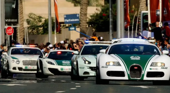 原配玲珑轮胎车型，红旗E-HS9入驻迪拜警方车队