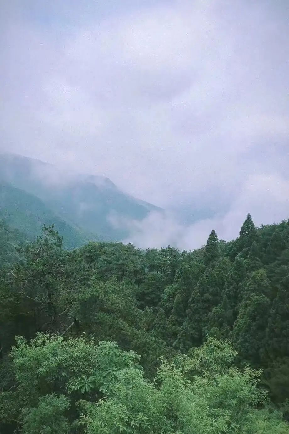 六山合围，在济南绿地·御山台享受当代人理想的山居自由