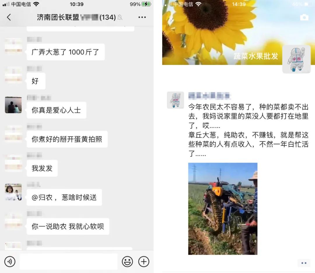 初美优选联合济南上千“团长”助销章丘大葱，让滞销菜变成“暖心菜”