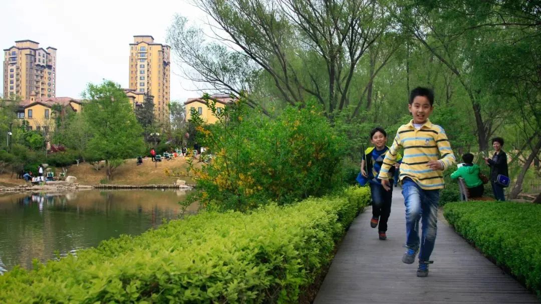 济南蓝石大溪地举步皆繁华，满满绿意鲜氧呵护健康生活
