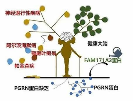 脐带血都有什么成分？秒懂细胞因子的神奇作用