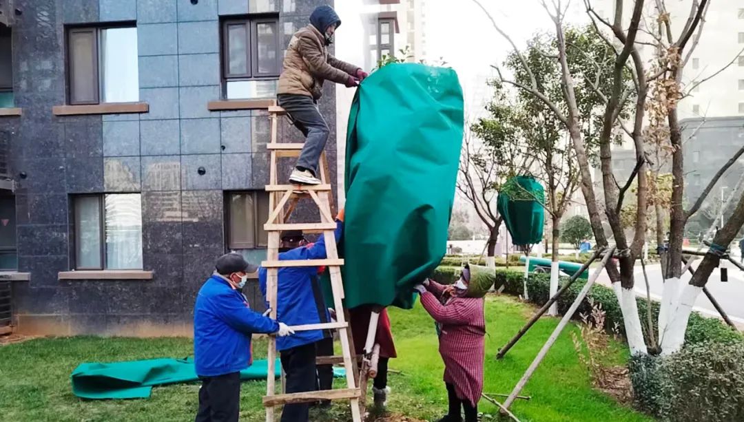 银丰物业爱在冬日，暖心守护