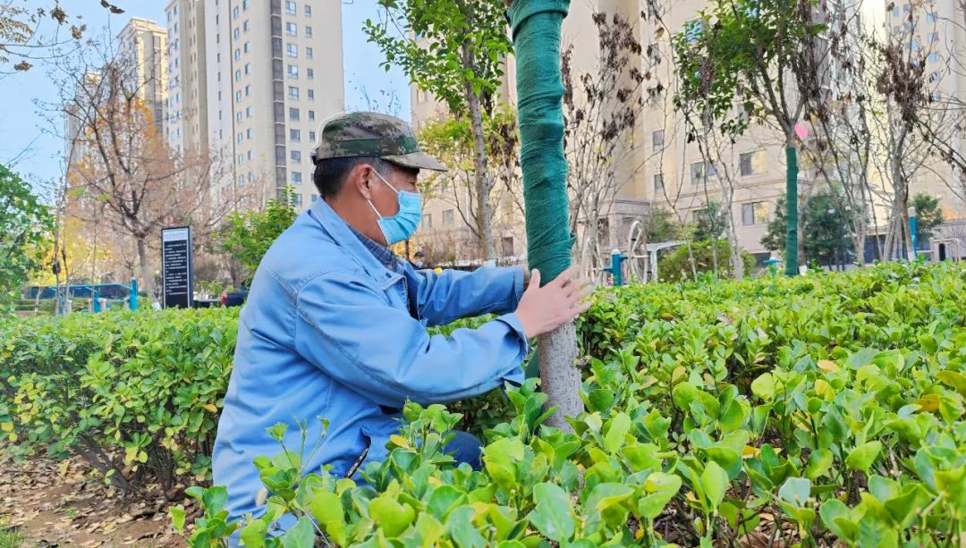 银丰物业爱在冬日，暖心守护