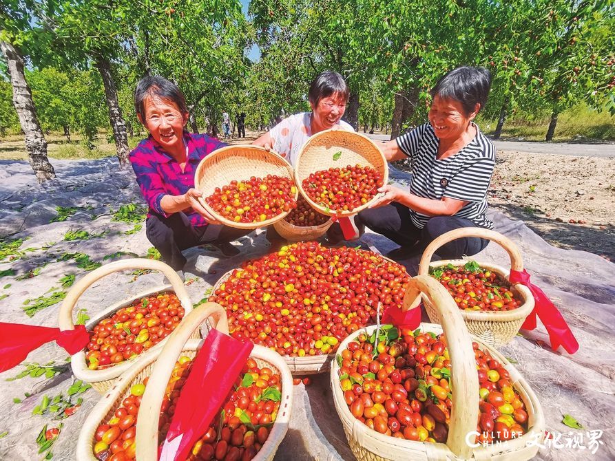 物华天宝“红与黑”——漫谈乐陵小枣与德州黑驴