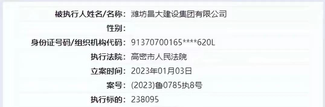 因未按时履行法律义务，潍坊昌大建设集团被执行23万余元