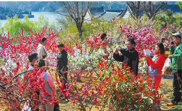 “艺术活化”赋能乡村发展，董方军和他的“桃花岛”