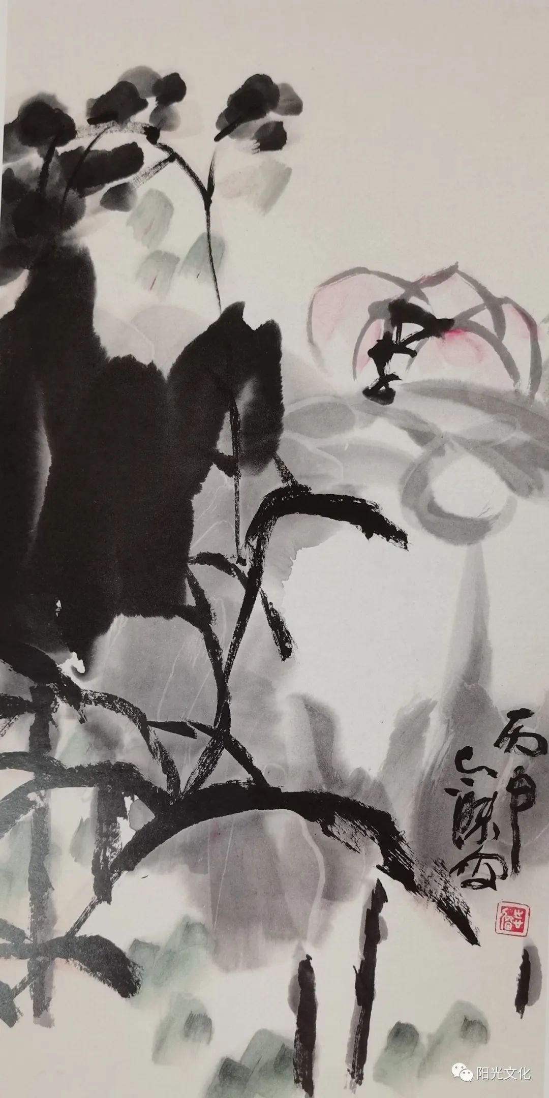 朴拙雅逸  空灵简约——著名画家邵志杰大写意花鸟作品展1月15日将在威海开展