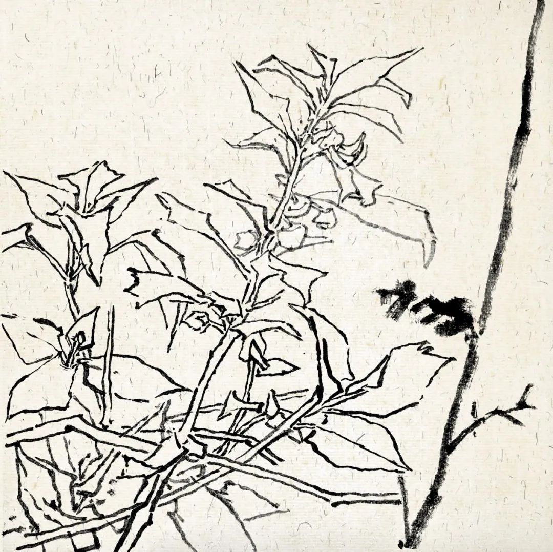 眼底有诗 心中有画——2022北京画院莫晓松·李雪松花鸟研修班写生香山植物园