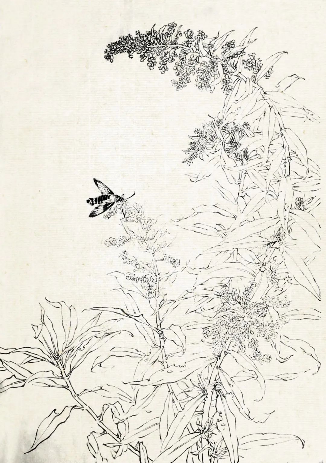 眼底有诗 心中有画——2022北京画院莫晓松·李雪松花鸟研修班写生香山植物园