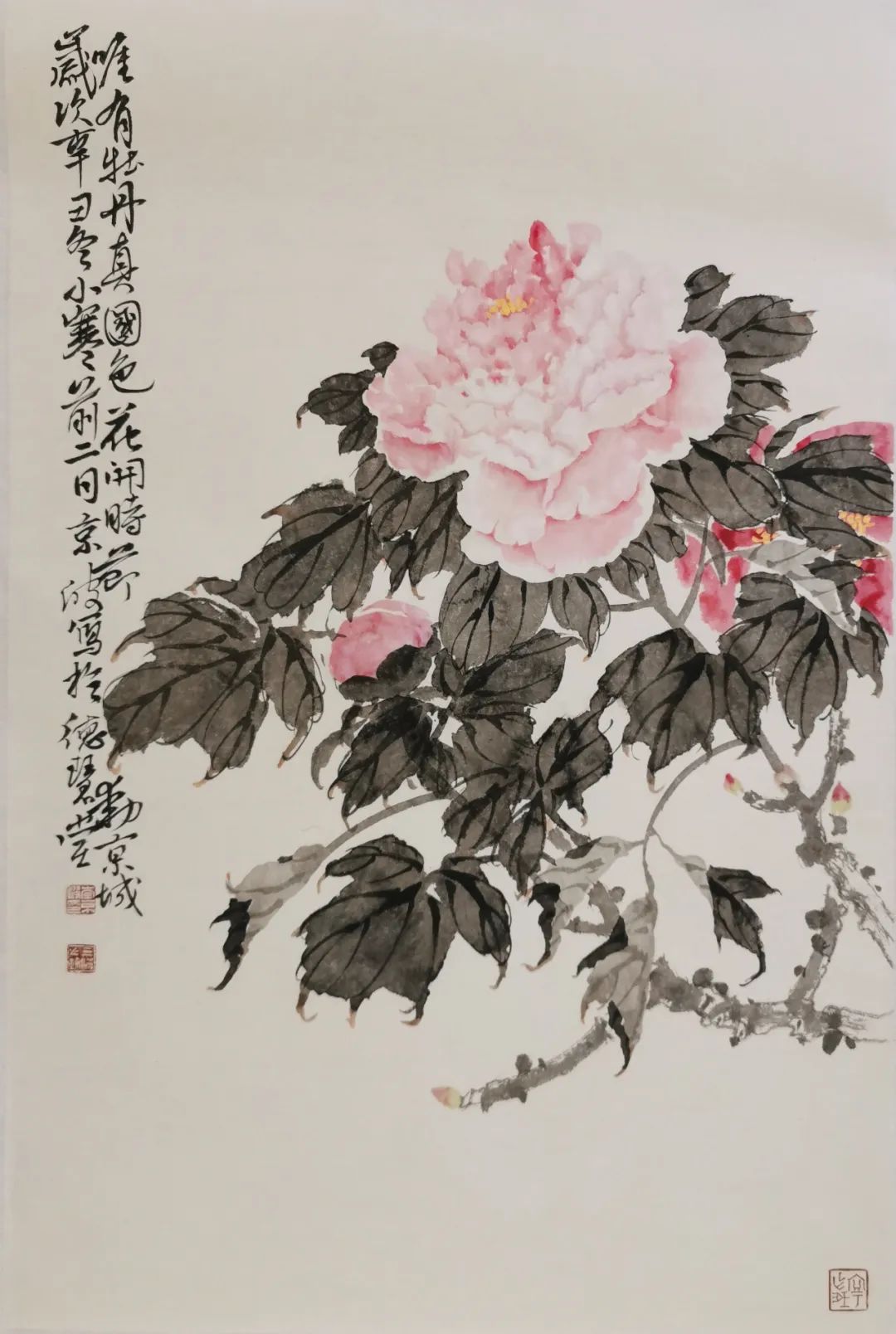 著名画家李京波花鸟画观感：布局严谨  神韵释然