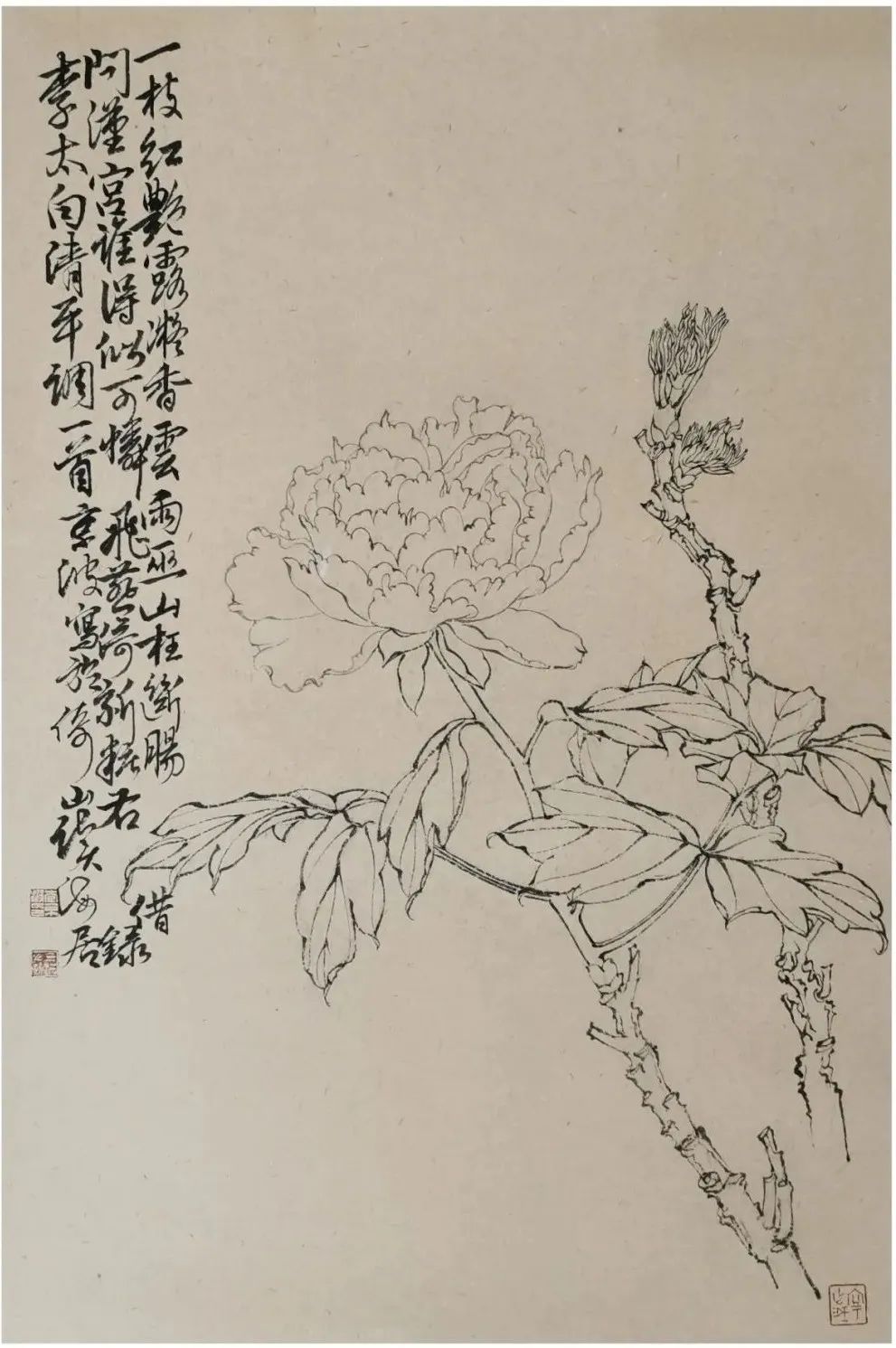 著名画家李京波花鸟画观感：布局严谨  神韵释然