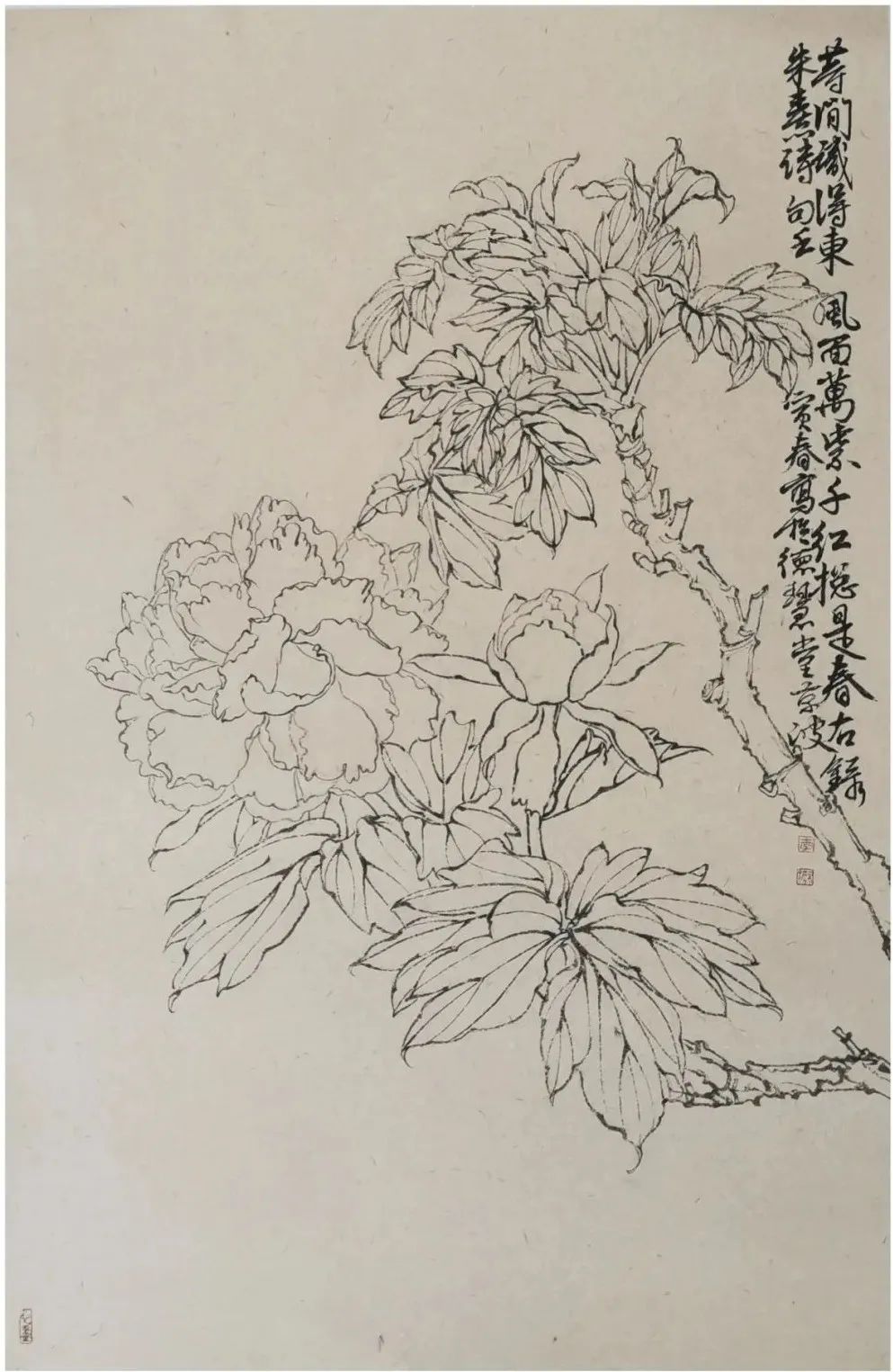 著名画家李京波花鸟画观感：布局严谨  神韵释然