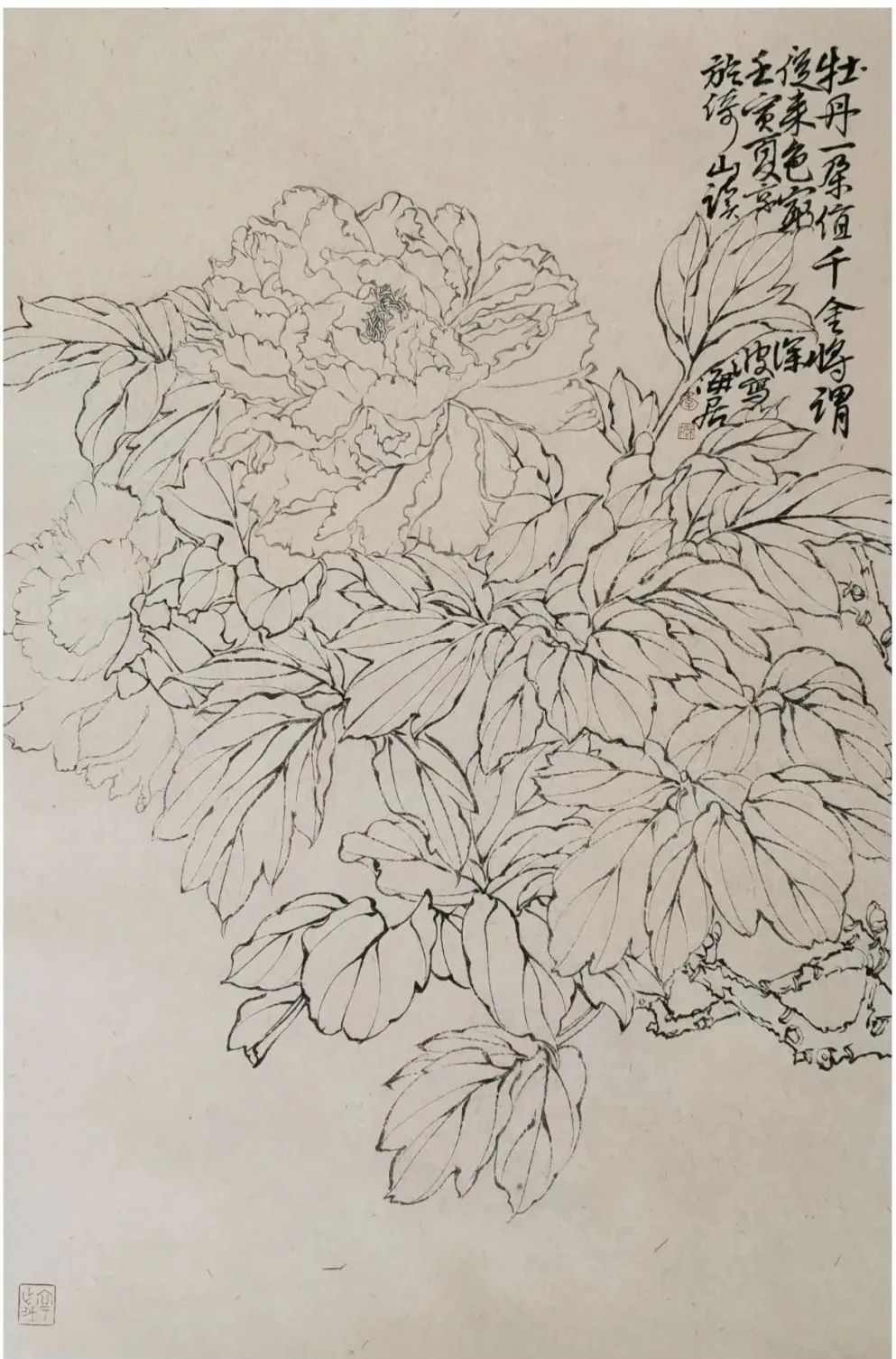 著名画家李京波花鸟画观感：布局严谨  神韵释然