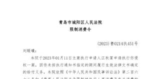青岛市城阳区法院向刘鑫发布限制消费令
