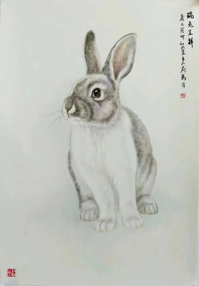 玉兔迎春——山东画院画家癸卯丹青贺岁