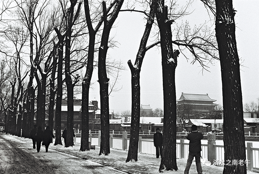 旅游文化学者牛国栋回顾2004年的北京雪景：飘雪的日子回到老北京