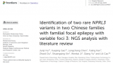 银丰基因发现与癫痫相关的新位点，连发两篇SCI