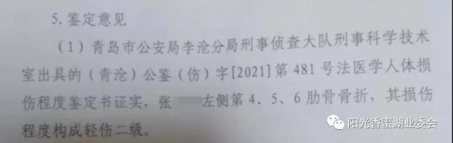 碧桂园控股青岛物业负责人殴打业主致轻伤，被判有期徒刑8个月