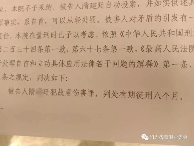 碧桂园控股青岛物业负责人殴打业主致轻伤，被判有期徒刑8个月