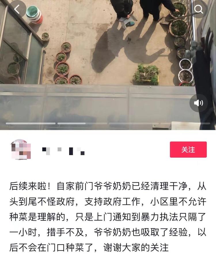 上海82岁老人在家门口种菜被暴力清理， 城管局回应：非本局人员