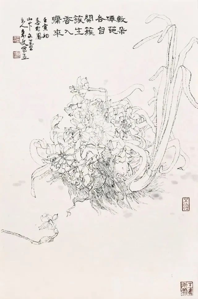 新颖逸动  空灵简淡——走进著名画家王来文的花鸟世界