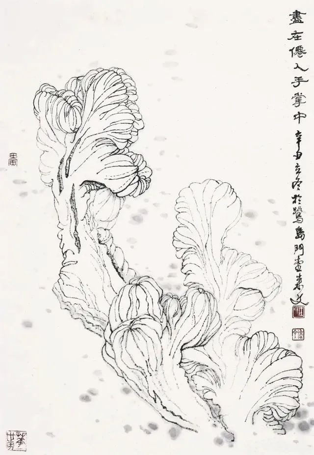 新颖逸动  空灵简淡——走进著名画家王来文的花鸟世界