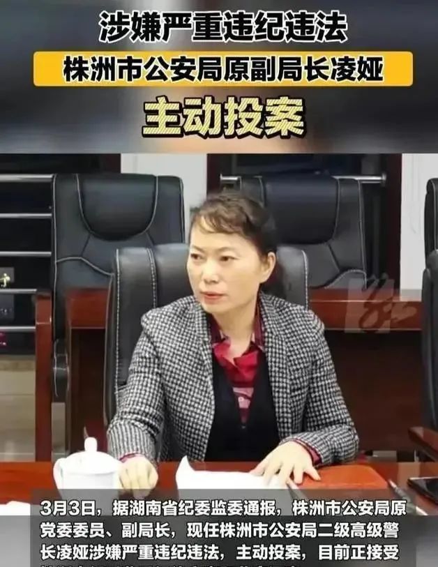 【李想集锦】（183）丨为民营企业“太子奶”企业家维权的一次努力