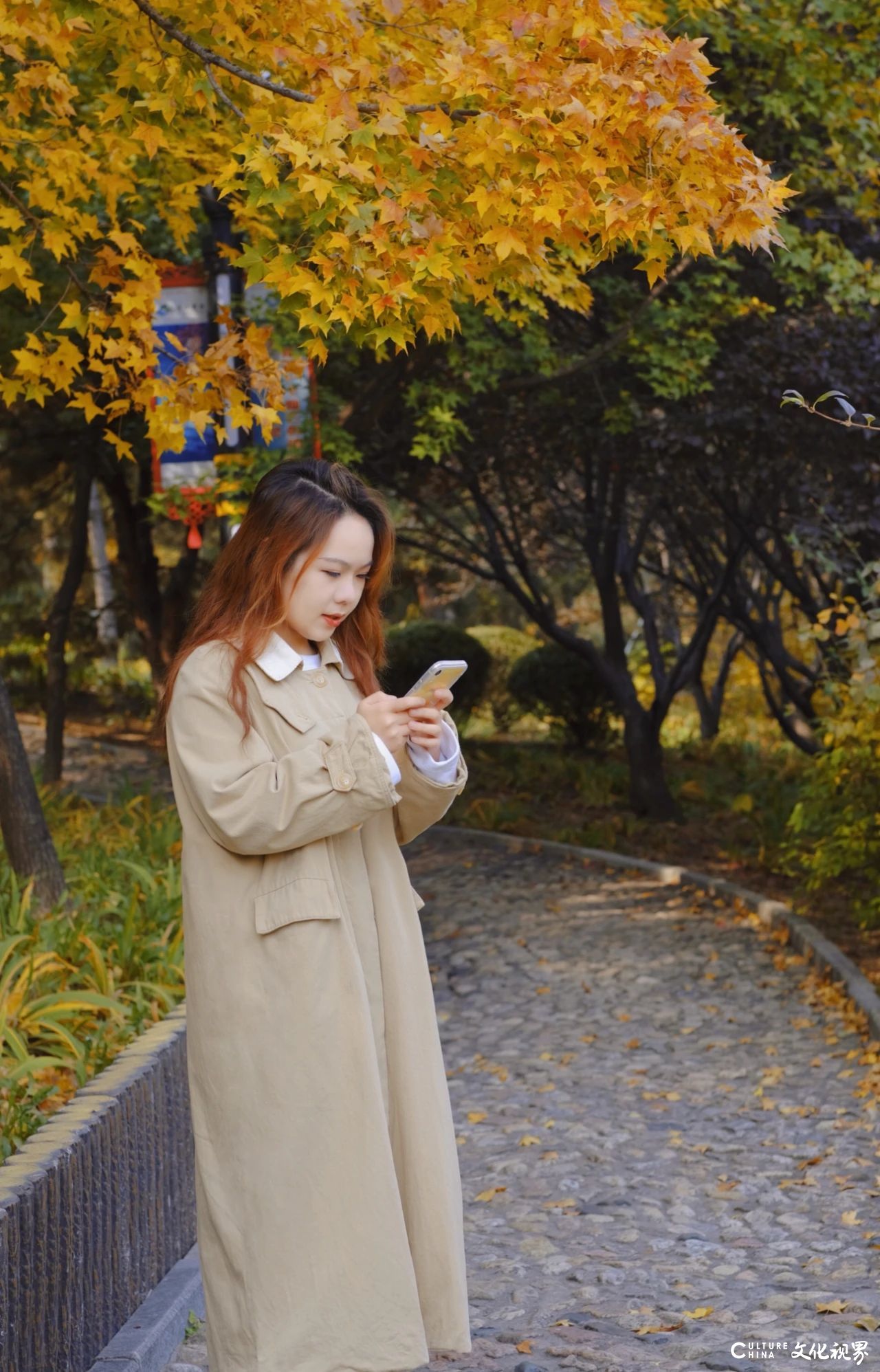 庆“三八”，“启航新征程·笔墨写芳华——山东省优秀青年女书法家网络作品展”成功举办