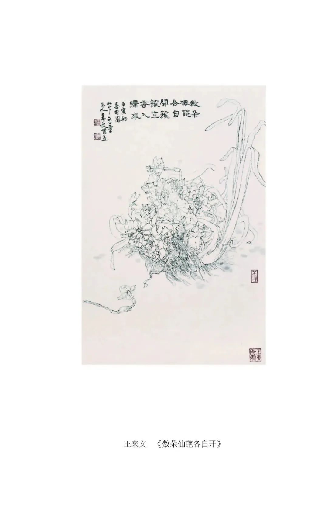 文字是有生命的——王来文《来文随笔》图书分享会3月12日将在福州举行