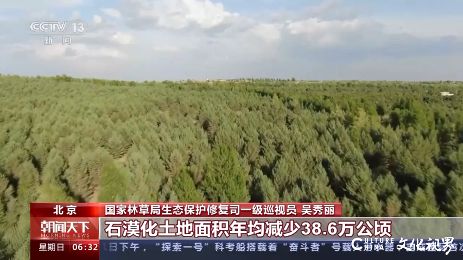 造林383万公顷，《2022年中国国土绿化状况公报》发布
