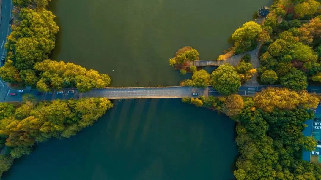 返古开今 含弘光大——中国美院院长高世名对中国画创新的思考