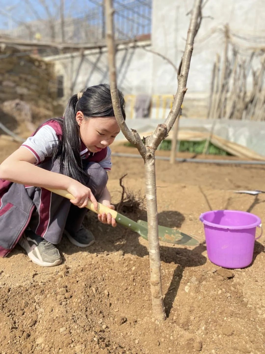 济南市安生学校小学部TBL主题课程：为地球充“植”