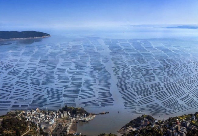 百岛明珠——舒建新写生温州洞头岛