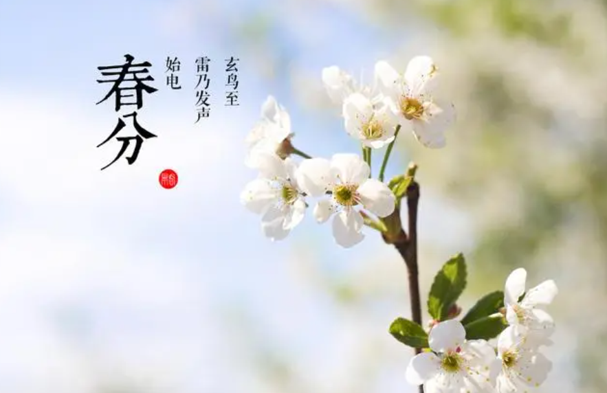 燕子北飞时，3月21日5时24分将迎来春分