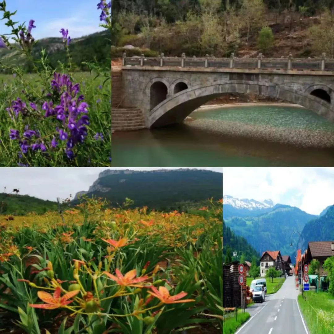 “一码游双泉”，济南长清双泉油菜花节旅游攻略上线