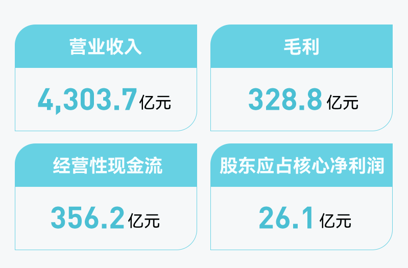 一份财务报表，传递出碧桂园“自信、韧性、回归、精细、翻身”的信息