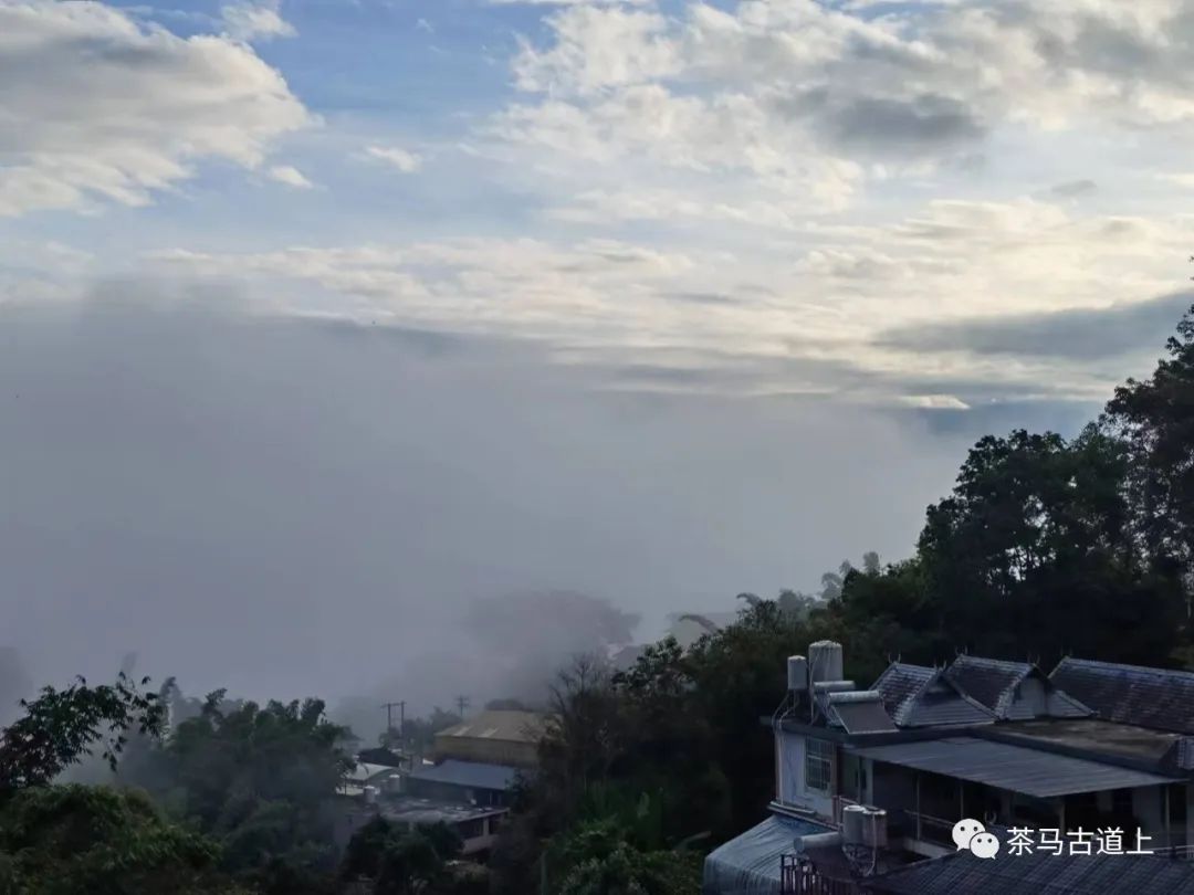 望星空——景迈山夏夜随想