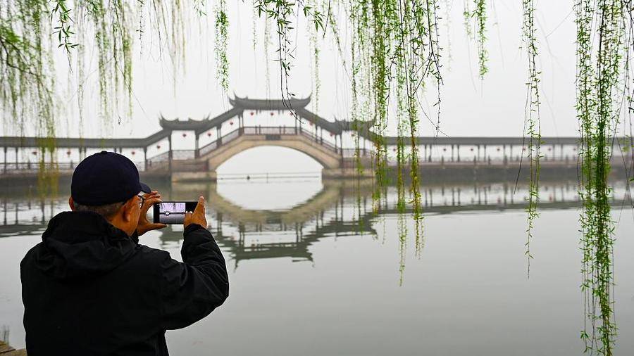 4月5日9：13清明时，杨柳依依道春意