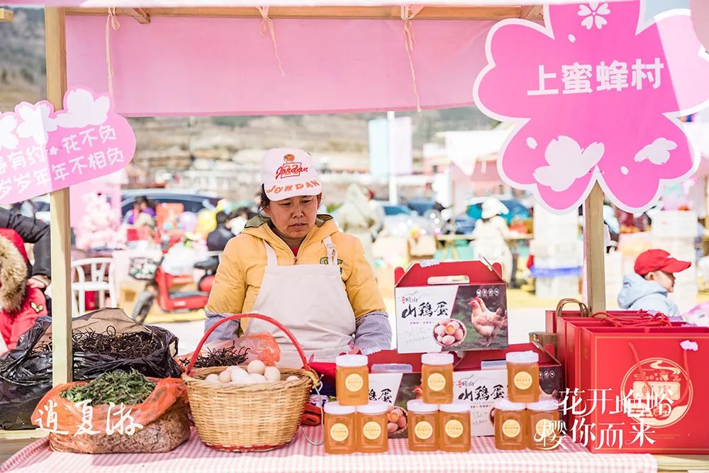 青岛城阳：20年樱桃山会蝶变提供乡村振兴的“夏庄范本”