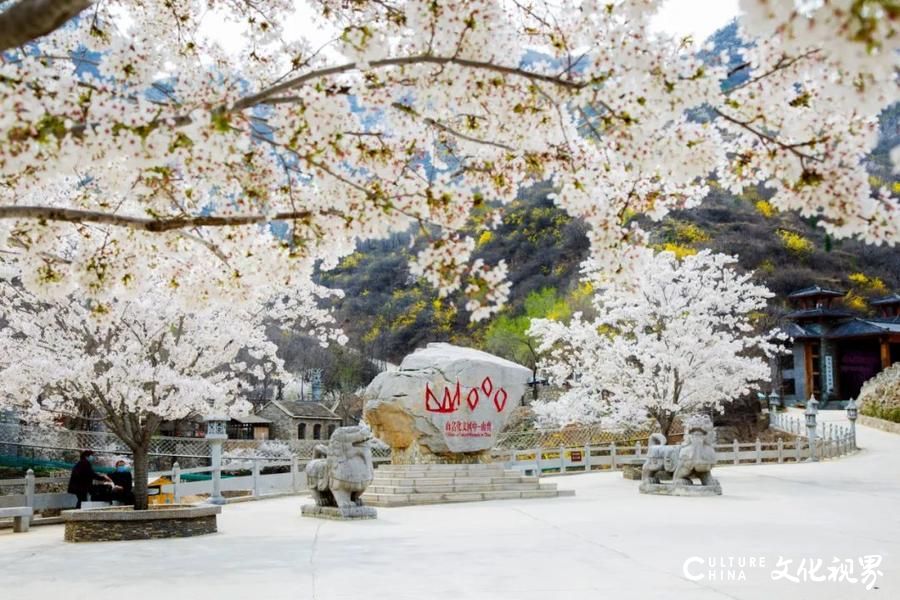 放大招！淄博10多家景区“高铁票换门票”